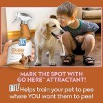 OUT! Pet Care Attractant Spray for Pets, 32 oz