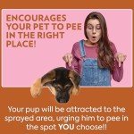 OUT! Pet Care Attractant Spray for Pets, 32 oz