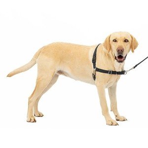 PetSafe Easy Walk No Pull Dog Harness - Large