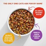 Meow Mix Original Choice Dry Cat Food 6.3 lb