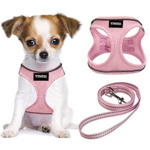 Pink Adjustable Dog Harness and Leash Set