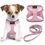 Pink Adjustable Dog Harness and Leash Set