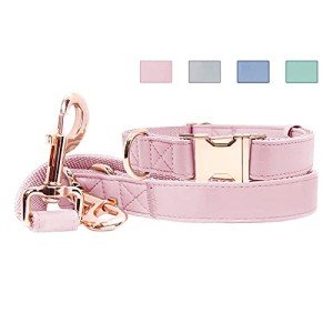 Soft Leather Dog Collar and Leash Set – Adjustable