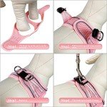 Pink Adjustable Dog Harness and Leash Set