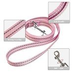 Pink Adjustable Dog Harness and Leash Set