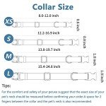 Soft Leather Dog Collar and Leash Set – Adjustable