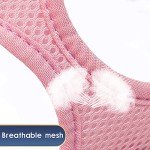 Pink Adjustable Dog Harness and Leash Set