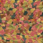 Tetra Tetramin Large Fish Food Flakes 5.65oz