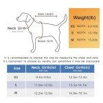 Pink Adjustable Dog Harness and Leash Set