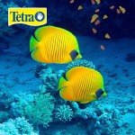 Tetra Tetramin Large Fish Food Flakes 5.65oz