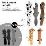 Durable Crinkle Squeaky Toys for Dogs - 5 Pack