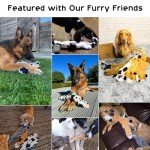 Durable Crinkle Squeaky Toys for Dogs - 5 Pack