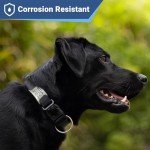 Personalized Stainless Steel Slide-On Pet ID Tags