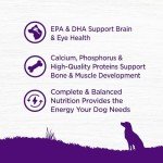 Wellness Complete Health Chicken & Salmon Puppy Food