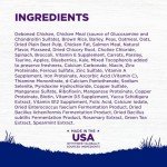 Wellness Complete Natural Dry Dog Food