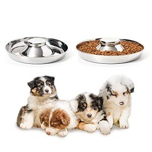 Stainless Steel Puppy Bowls Set of 2
