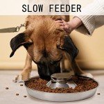 Stainless Steel Puppy Bowls Set of 2