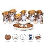 Stainless Steel Puppy Bowls Set of 2