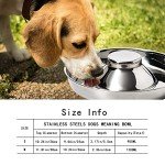 Stainless Steel Puppy Bowls Set of 2