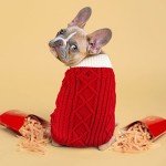 Cozy Turtleneck Dog Sweater with Leash Hole