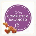 Purina Fancy Feast Dry Cat Food - Chicken & Turkey