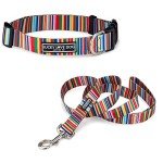 Lucky Love Rainbow Collar & Leash Set for Dogs
