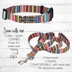 Lucky Love Rainbow Collar & Leash Set for Dogs