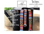 Lucky Love Rainbow Collar & Leash Set for Dogs