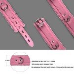 Pink Gothic Leather Choker Collar with Leash