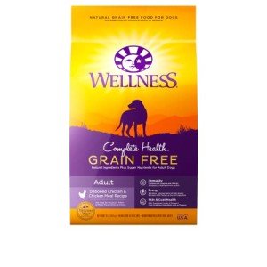 Wellness Grain-Free Dry Dog Food with Real Chicken