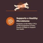 Wellness CORE Chicken & Brown Rice Dog Food 24lb