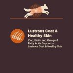 Wellness CORE Chicken & Brown Rice Dog Food 24lb