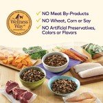 Wellness Grain-Free Dry Dog Food with Real Chicken