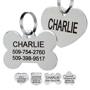 GoTags Stainless Steel Pet ID BowTie Tag