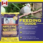 Hagen Pigeon & Dove Food, 1.8 kg