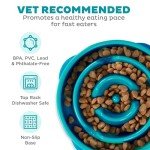 Outward Hound Slow Feeder Dog Bowl - Turquoise