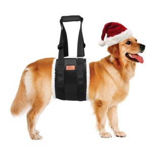Adjustable Dog Lift Harness for Large Dogs