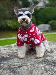Lanyarco Christmas Dog Pajamas - Snowman Design