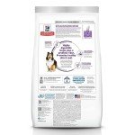 Hill's Science Diet Sensitive Stomach Dry Dog Food