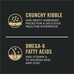 Purina Pro Plan High Protein Cat Food - Chicken Rice