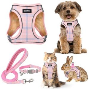 Small Dog Harness and Leash Set - Pink