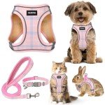 Small Dog Harness and Leash Set - Pink