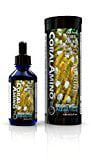Brightwell Aquatics CoralAmino - Amino Acid Complex for Coral Coloration & Growth, 60 ml