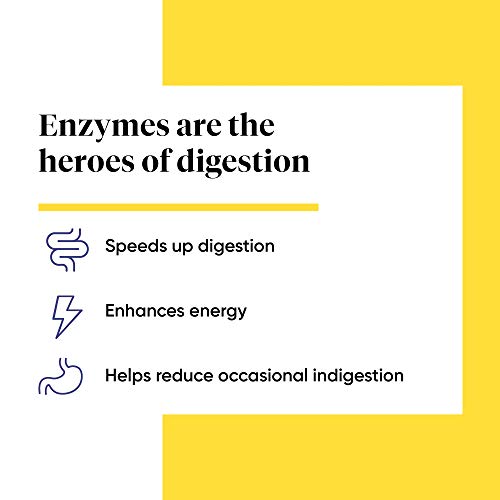 Enzymedica Digest Basic, Essential Enzyme Formula, Gentle Meal Digestion, Reduces Gas and Bloating, 90 Capsules