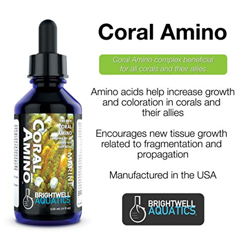 Brightwell Aquatics CoralAmino - Amino Acid Complex for Coral Coloration & Growth, 60 ml
