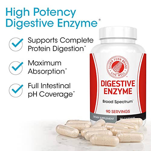 Silver Fern Brand Ultimate High Potency Digestive Enzyme Supplement - 2 Bottles - 100% Intestinal Coverage - Digestive Comfort - Improve Food Tolerability