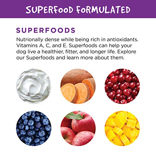 Fruitables Healthy Pumpkin Gluten Free Superblend Digestive Supplement, 15 Ounce - Pack of 6
