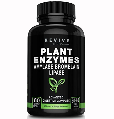 Advanced Plant Based Digestive Enzymes - Aspergillopepsin, Amylase, Bromelain, Lipase, Protease, Papain & More - Supports Gastrointestinal & Immune Health & Overall Digestion