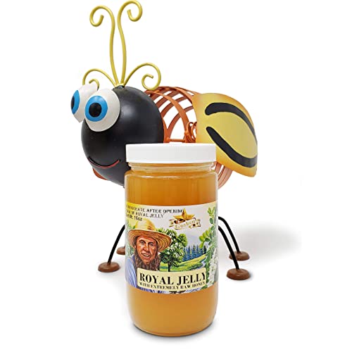 Goshen Amish Country Honey Extremely Raw ROYAL JELLY Honey 100% Organically Pure Fresh Natural Domestic Honey With Life Enzymes Health Benefits | Unfiltered Unprocessed Unheated | 1 Lb Jar | 454 G Glass Jar