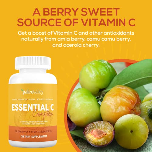 Paleovalley Essential C Complex - Vitamin C Supplement for Immune Support - 6 Pack, 450mg - From Organic Superfoods Unripe Acerola Cherry, Camu Camu, Amla Berry - No Synthetic Ascorbic Acid - USA Made